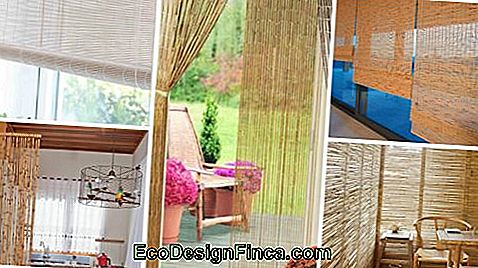 Bamboo Curtain: Models, How To Use Tips And Prices!