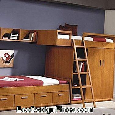 bunk with drawers with cupboard