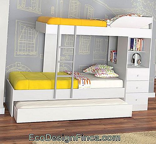 bunk with drawers and shelf