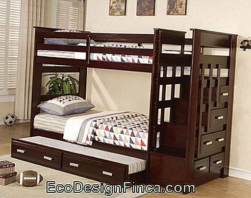bunk with drawers with ladder and side drawers