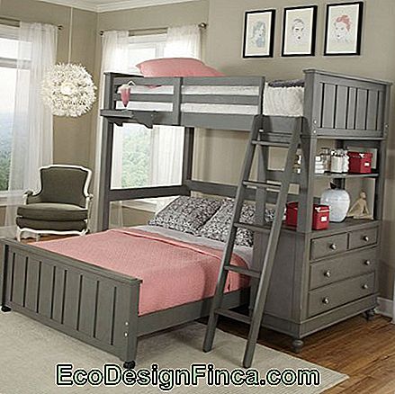 bunk with drawers with shelf