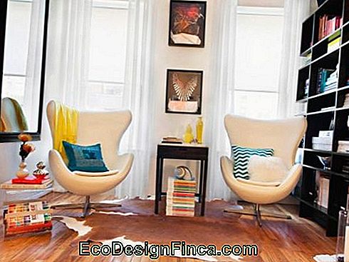 Small Room Armchair - The 75 Best Models for Your Room!: models