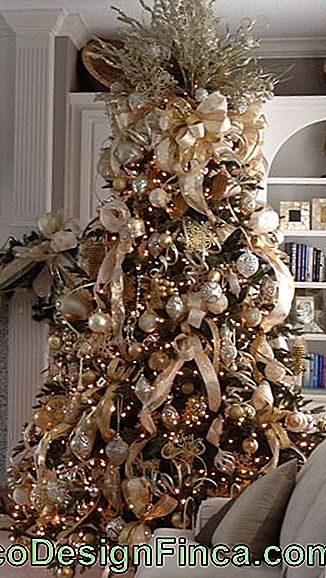 árbol de navidad de oro con las cintas del color champán