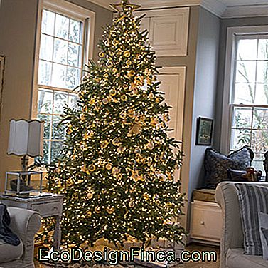 árbol de navidad de oro con la iluminación propia