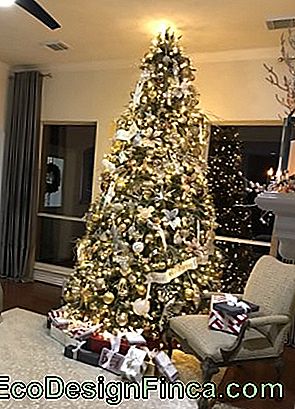 árbol de navidad de oro con la luz en la cima