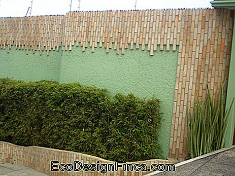 mur moderne