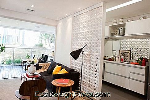 dzīvojamā istaba un virtuve ar balto cobogó starpsienu