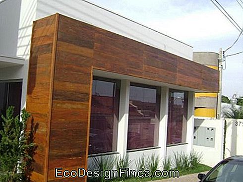 Fațada Madeirii - 50 unități decorate cu lemn!: decorate