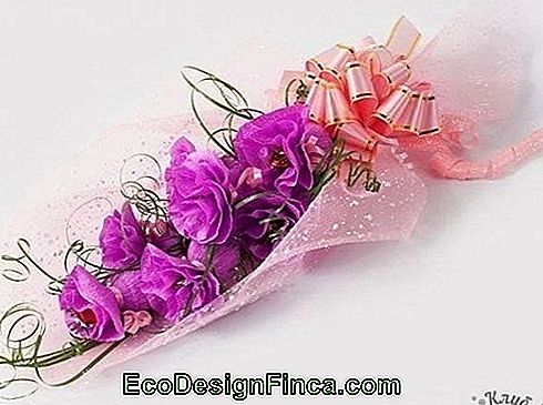 Kwiatowy papier krepowy z liliowym cukierkiem