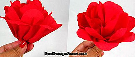 Kwiat pojedynczy czerwony papier krepowy