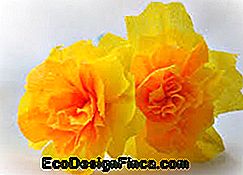 Kwiat żółty prosty papier krepowy