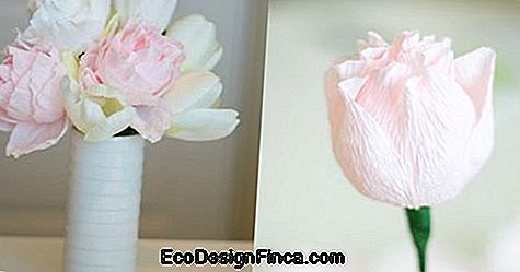 Różowy prosty papier z krepy