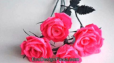 Różowy prosty papier z krepy