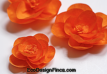 Kwiat prosty pomarańczowy papier krepowy