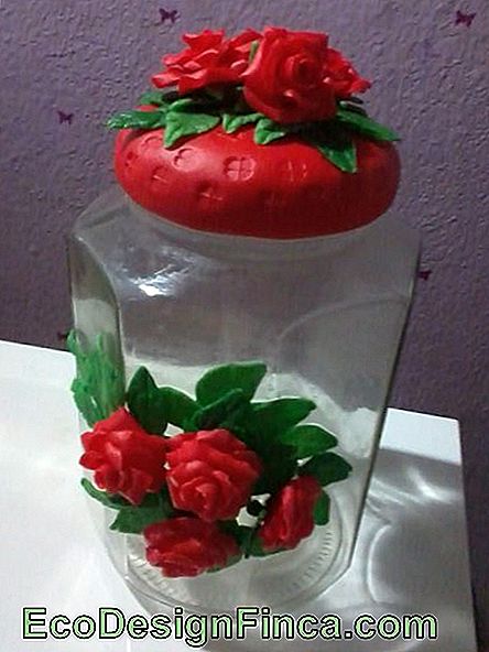 Røde Kiks Blomster i Pot