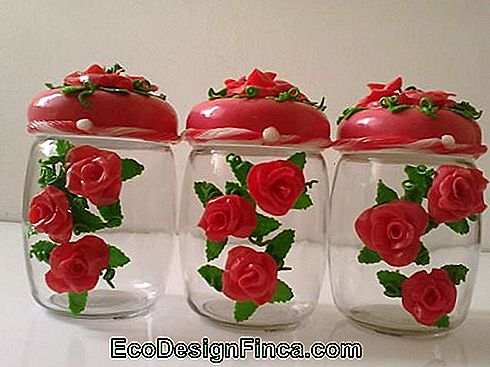Røde Kiks Blomster i Pot