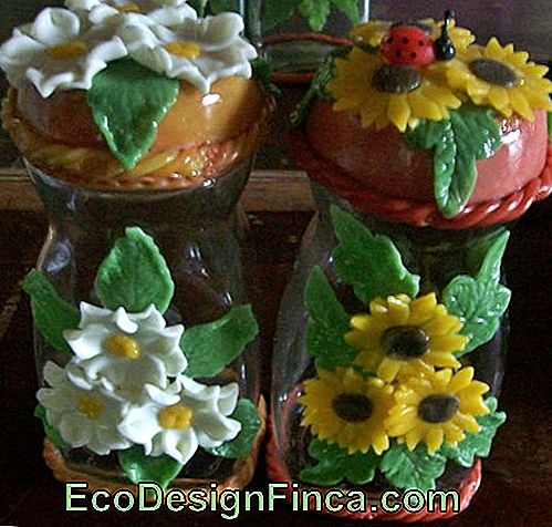 White Biscuit Flowers in Pot