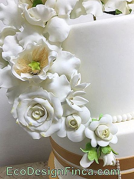 Cake biscuit bloemen