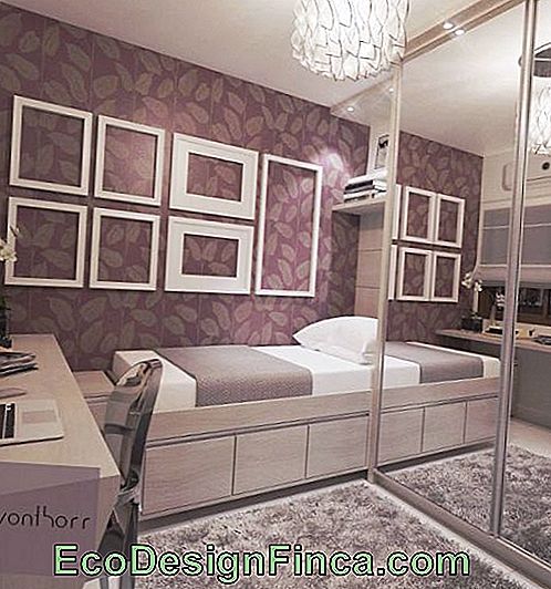 Lilac designed female room.