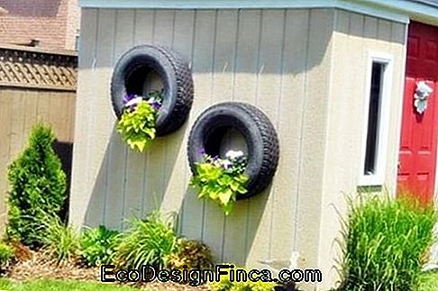væg med dekorativt dæk