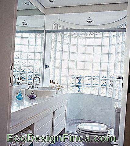 vannas istabas stikla siena