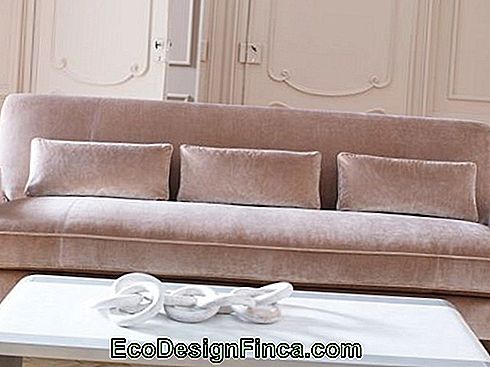 wskazówki i przestrogi z aksamitną sofą