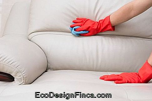 jak czyścić skórzaną sofę