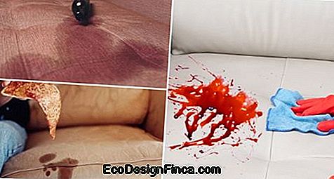 Fabric sofa care