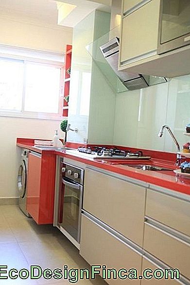 Cucina piccolo appartamento - Come decorare, consigli e 60 foto!: appartamento