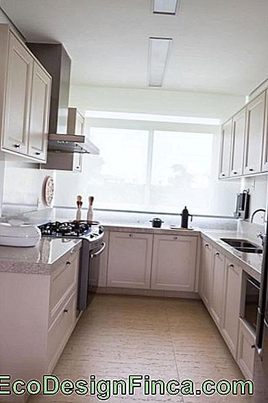 Cucina piccolo appartamento - Come decorare, consigli e 60 foto!: cucina