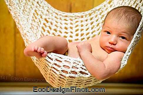 Baby Network / Cradle - De 60 meest leuke inspiraties van allemaal!: leuke