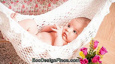 Baby Network / Cradle - De 60 meest leuke inspiraties van allemaal!: leuke