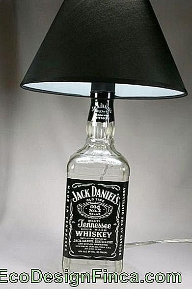 içki logosu ile şişe lamba