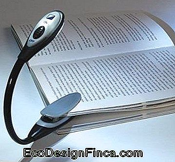 reading lamp with clip