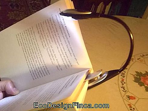 Klipsli okuma lambası