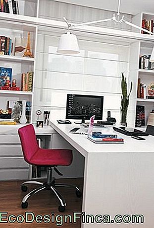 chaise de bureau moderne