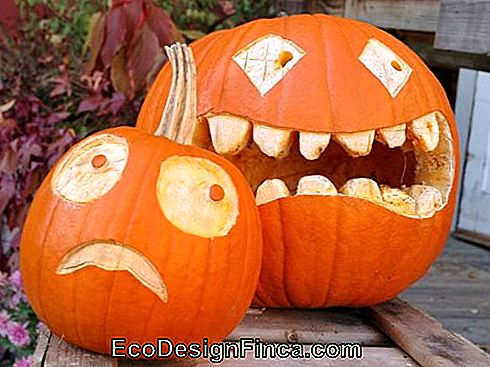 Zucca di Haloween