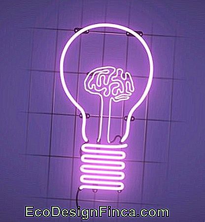 Leuchtschild / Neon - 70 schöne Ideen für Dekoration & Tutorial DIY!: schöne