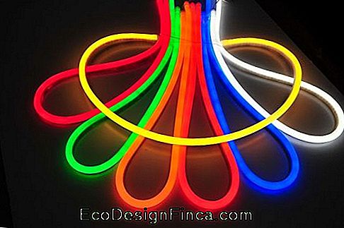 Leuchtschild / Neon - 70 schöne Ideen für Dekoration & Tutorial DIY!: Neon