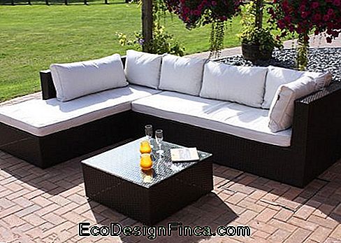 Wicker Sofa - 60 nuostabių ir šiuolaikinių modelių, patarimų ir patarimų!: modelių