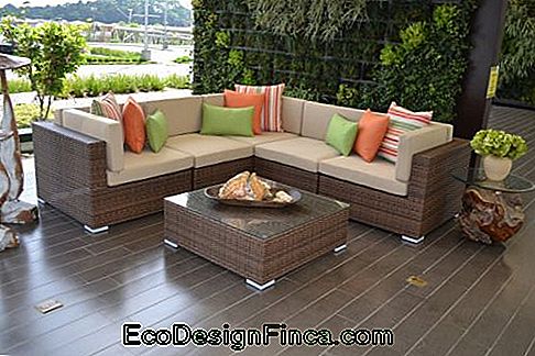 vytelių sofos sofos