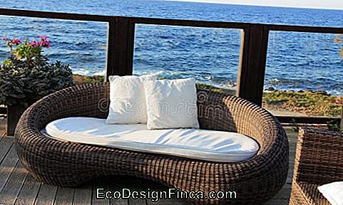 Wicker Sofa - 60 nuostabių ir šiuolaikinių modelių, patarimų ir patarimų!: wicker