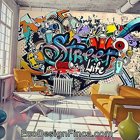 Photo d'un mur dans la pièce avec des graffitis écrits '' Street Life '' et diverses références à la culture urbaine telles que le skateboard et les bombes aérosols.