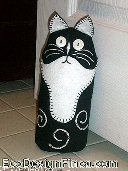 czarno-biały kot