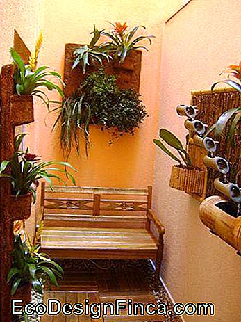 Medienos ir bambuko konstrukcijos orchidėjų ir kitų laipiojimo augalų pateikimui