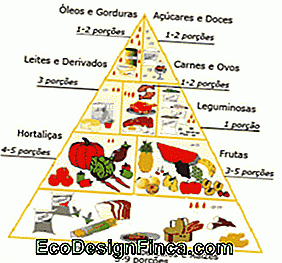 Distribuzione di calorie... - calorie Distribuzione di calorie...