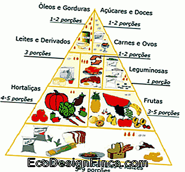 piramida alimentară