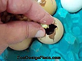 ouă de Paște