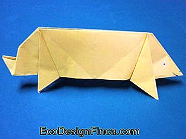origami varken