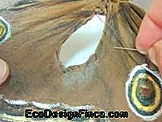 Helovino drugelio formos kaukė: kaukė